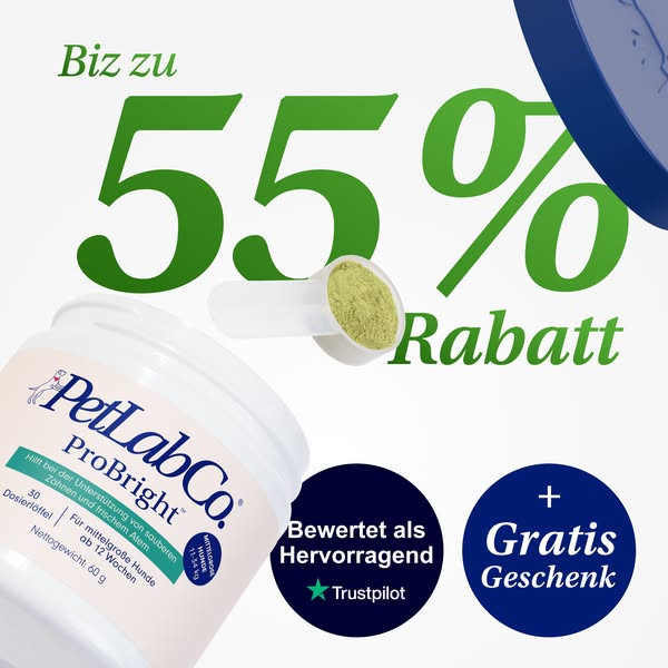 ✨ Probright: Bis zu 55% Rabatt! ✨